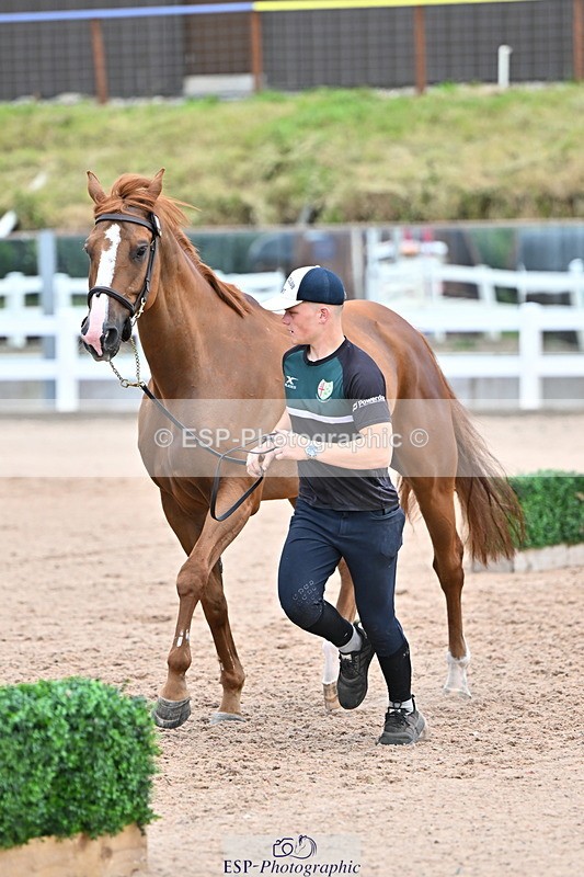 240718A-105324-01956 - Trot Up 2pm to 3pm - This folder is not in time order