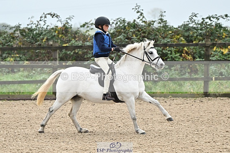 241110-095921-00149 - 40cm Showjumping