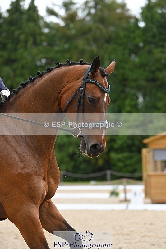 230813-171923-08627 - Cls 14 Medium Silver 16.45 to End