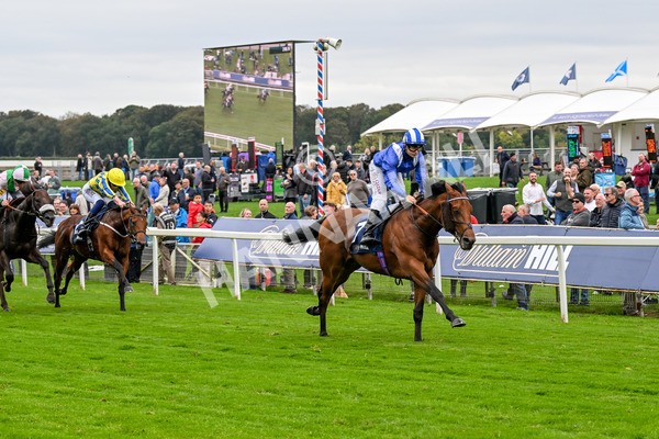 101025-Race 3-Mukhtalif-0223 - Race 3 William Hill Each Way Extra Handicap at York