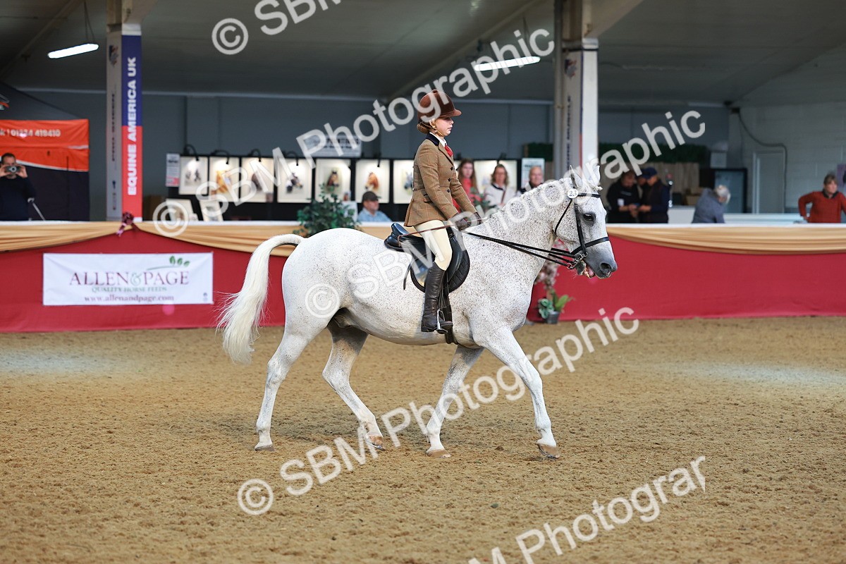 SBM_09497 - Class 102 - HOYS Veteran Qualifier - Ridden Veteran