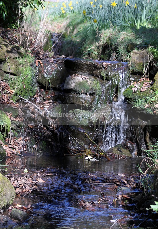 corporation water - Landscape