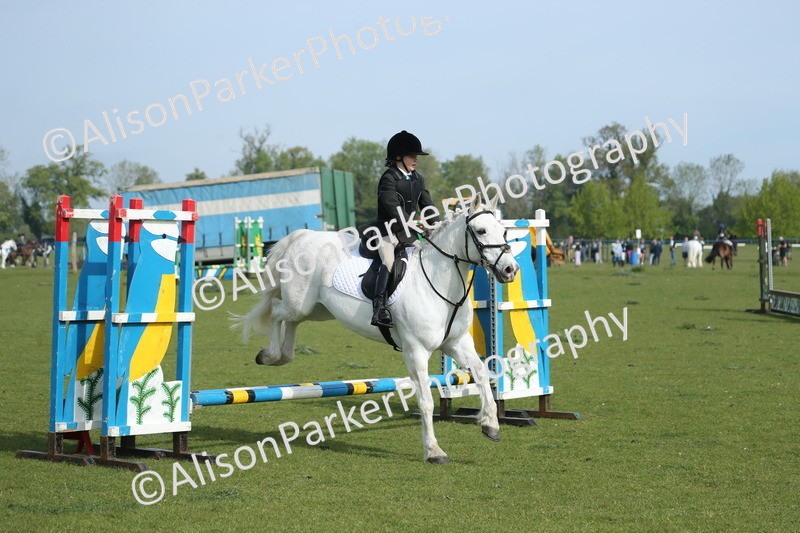 20260426-0179 - Class 13 - Rookie Jumping 50cm