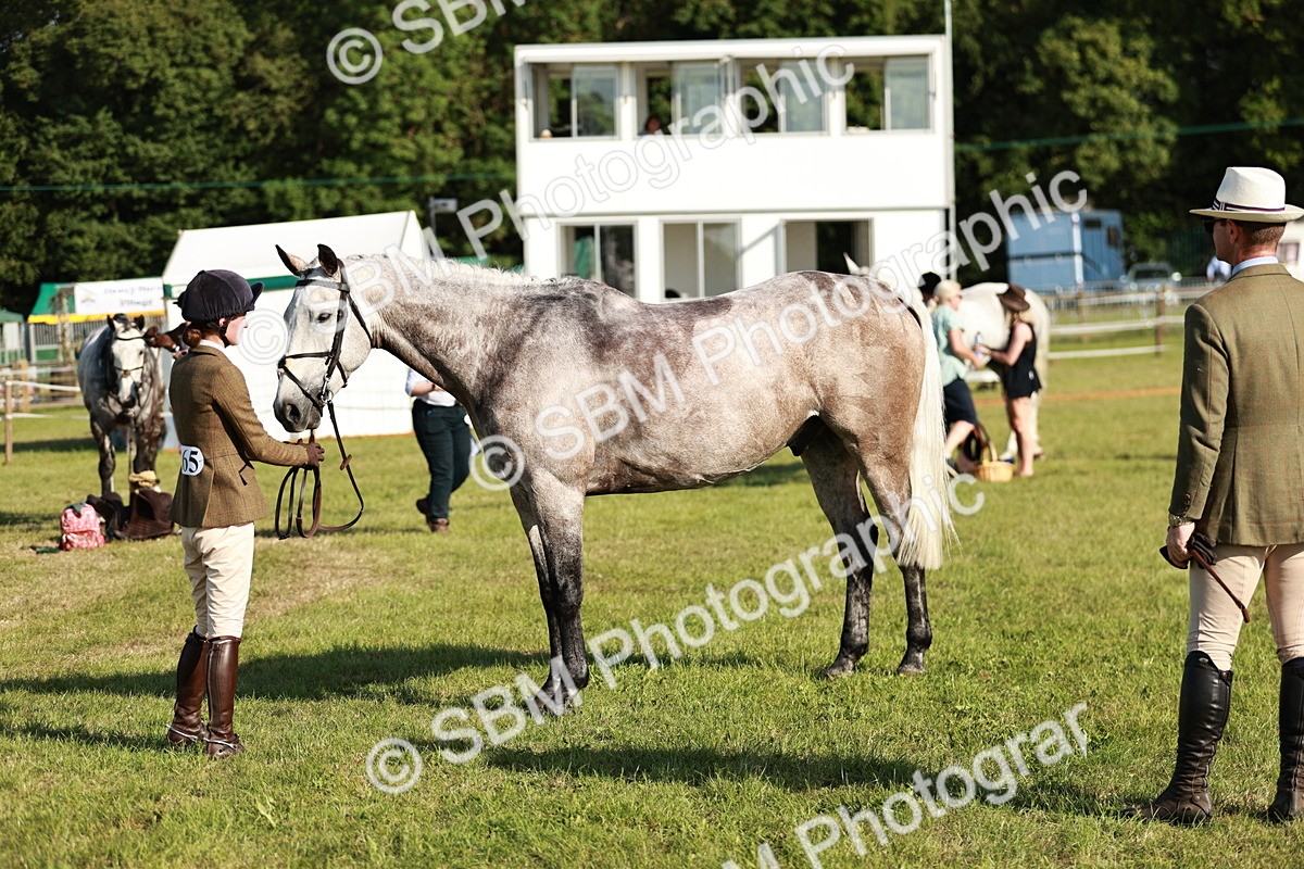 SBM_20032 - Class 115-116 - LIHS BSHA Rising Star Working Hunter & Show Horse