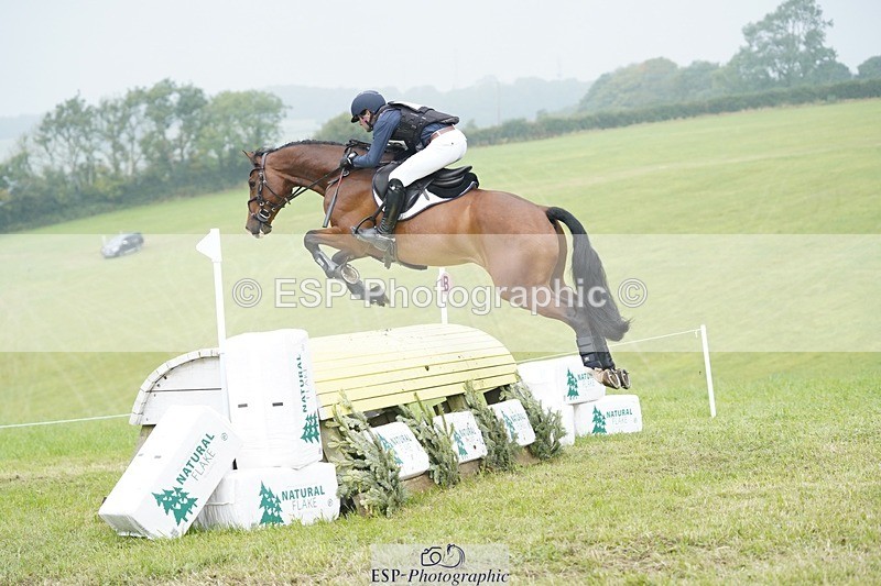 240901A-124152-08699 - 308-Tommy.Greengard-MBF.GOOGLE