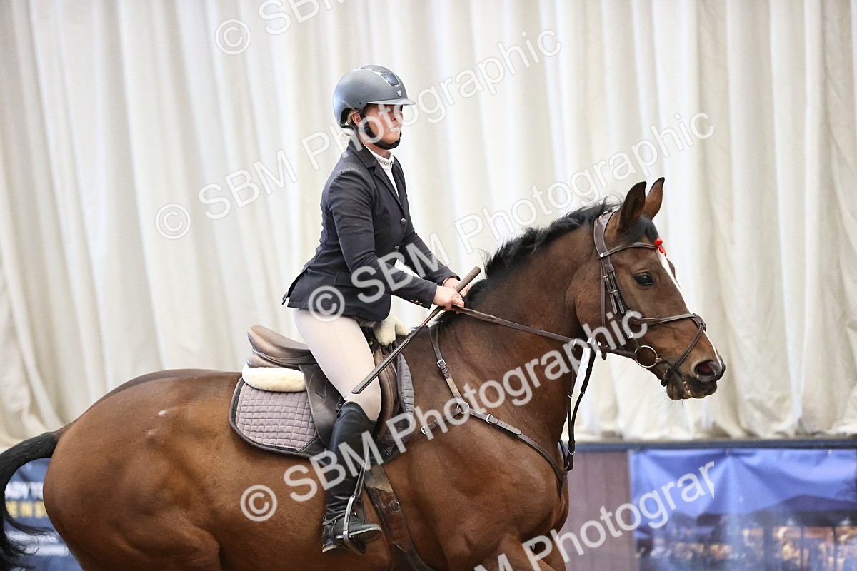 SBM_005832 - Class 17 - Equiyd Ruby Bluechip Qualifier