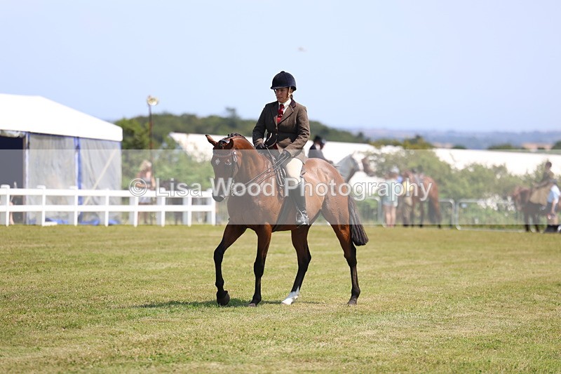 3E7A9373 - Class 12: Open Racehorse to Show Horse