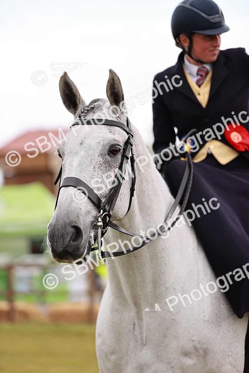 SBM_11010 - Class 81-84 - RIHS Ridden hunters Inc Ladies Hunter