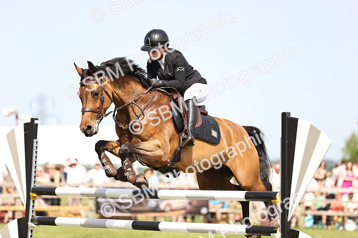 SBM_03095 - Class 201 - British Horse Feedds Speedi Beet HOYS Grade C