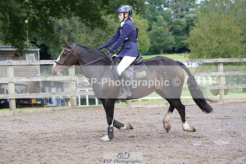 240824X-144300-28413 - 80cm Round 1 14.00 to 15.30