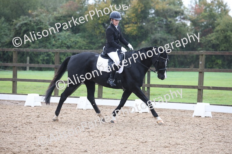 20261021-0774 - Class 6 - Novice 3