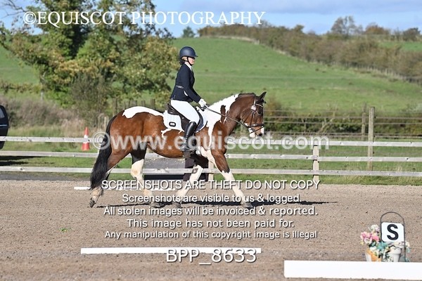 BPP_8633 - SHORT ARENA INTRO 3