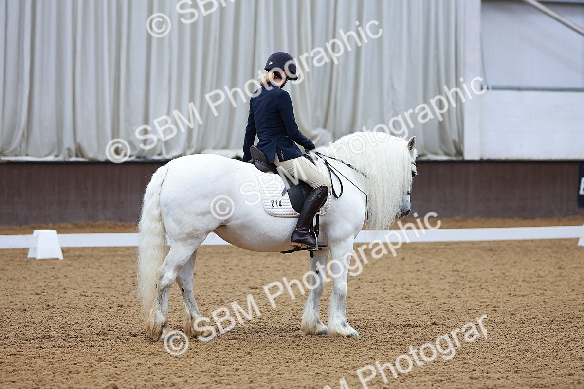 SBM_000295 - Class 3-6-9-18 - Pre Nov Ele PSG - FSM