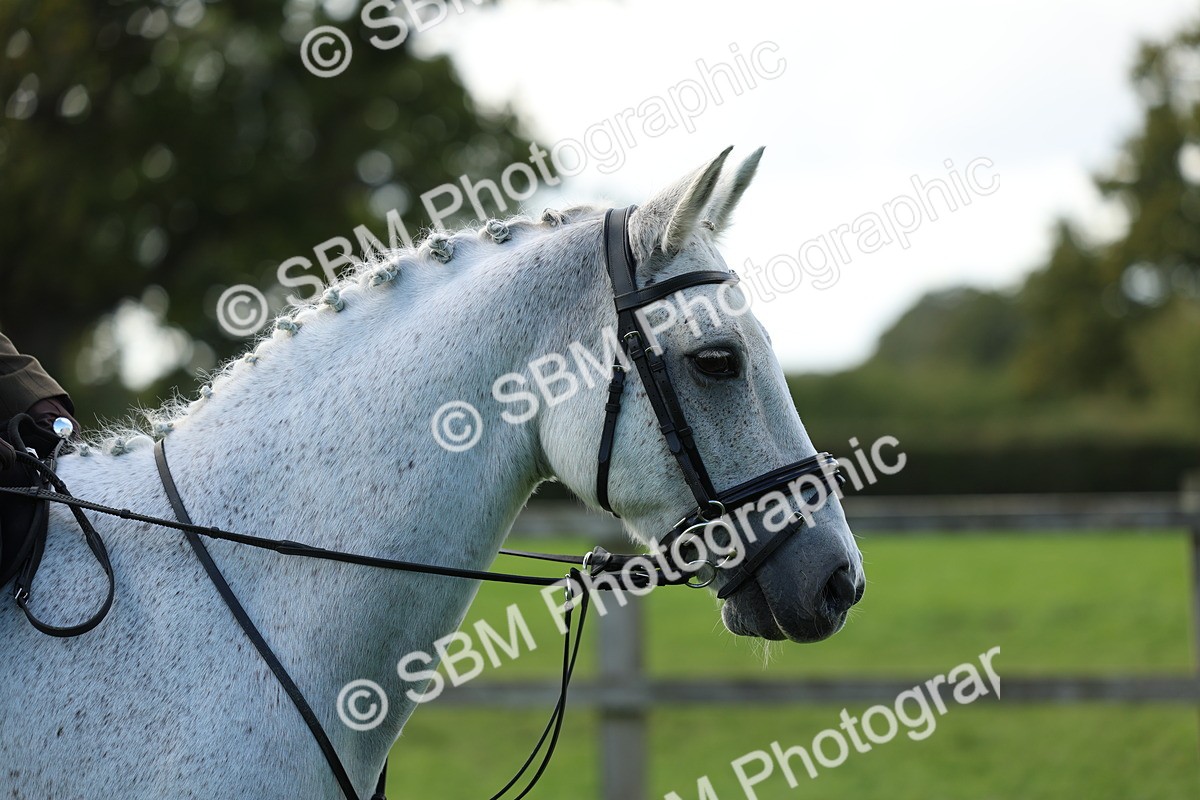 SBM_45516 - S33 - Working Hunter Pony