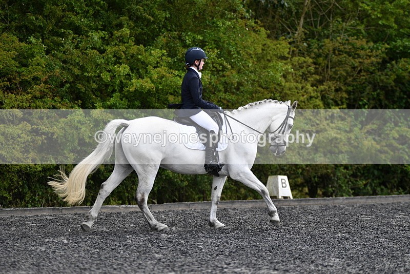 WJ5_1703 - Time 14:20 to 15:01