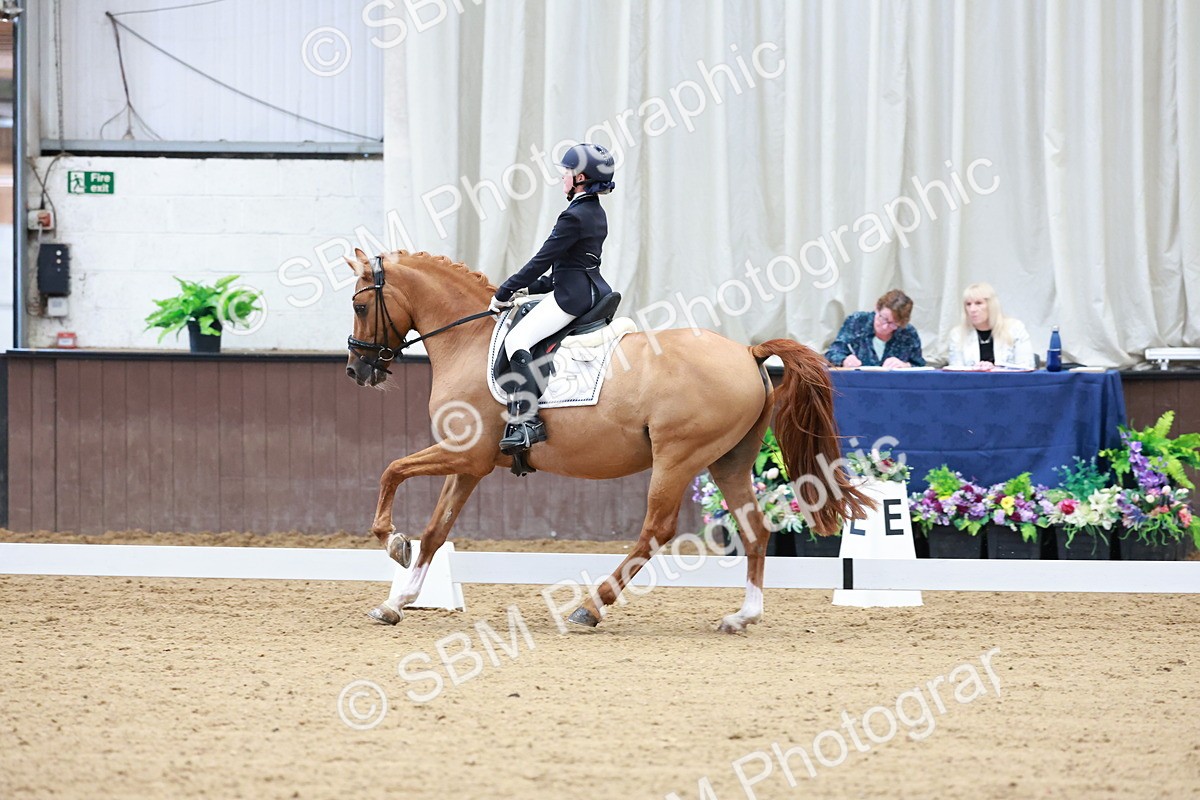 SBM_017088 - Class15 - FEI Pony