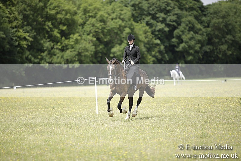 BVR160717-1973 - Side Saddle Classes 16/07/17