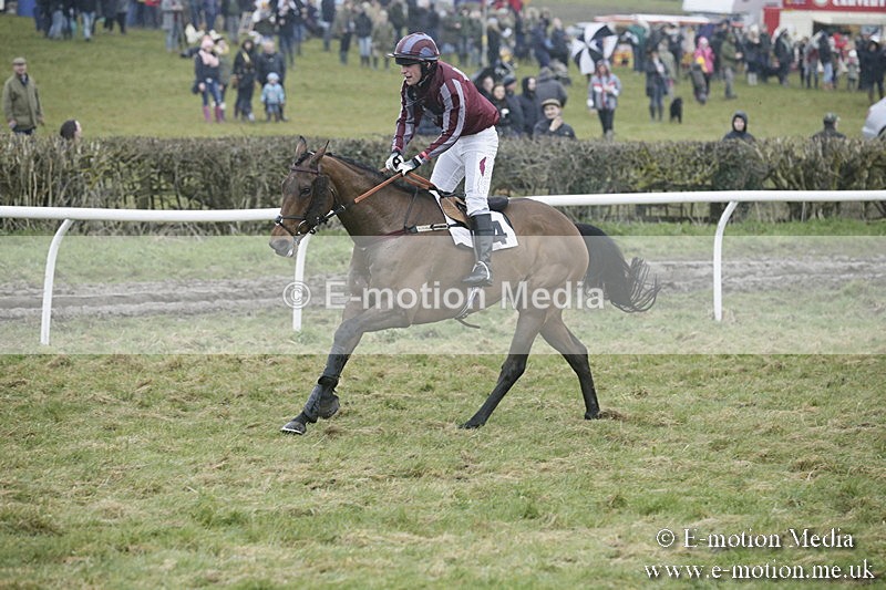 PtP 020418 -331 - Old Berks Point-to-Point Races Easter Monday 02/04/18