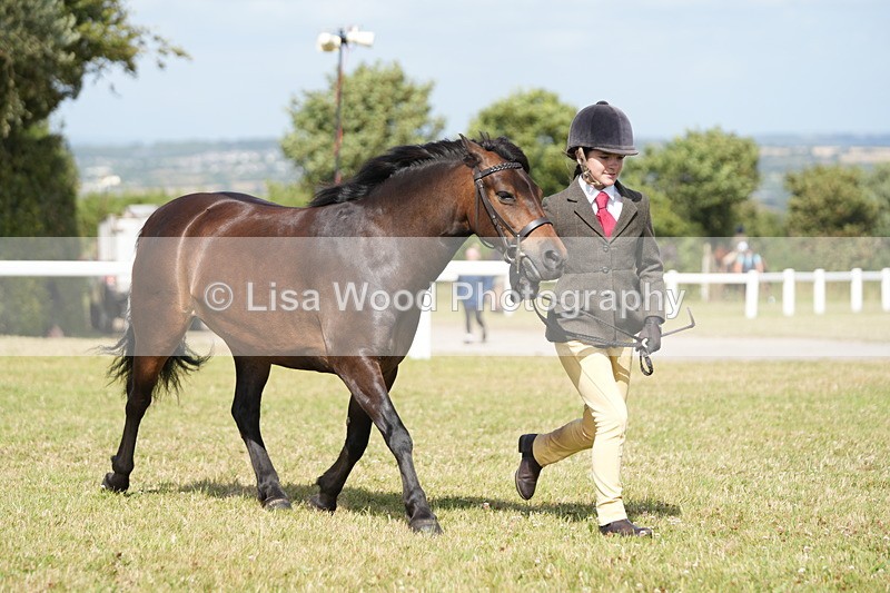 DSC07646 - Class 62: Child Handler