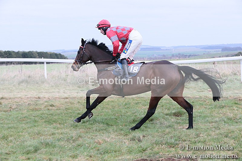 PtP 060119 198 - Larkhill Racing Club - Point-to-Point- 06/01/2019