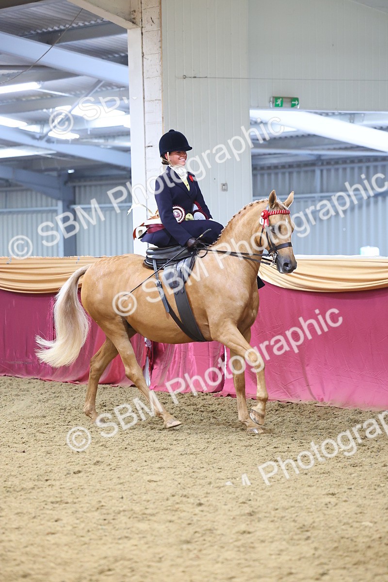 SBM_24704 - Class 906 - Supreme Final - Ridden Pre Vet