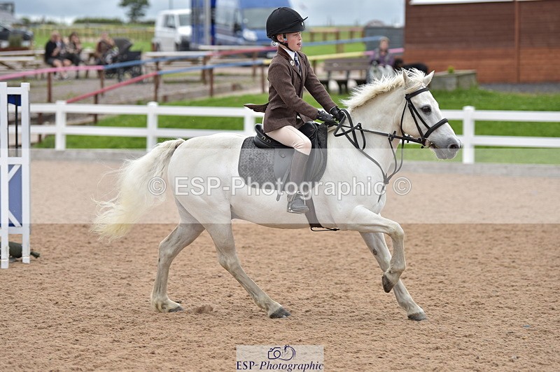 230801B-171004-00538 - 70cm