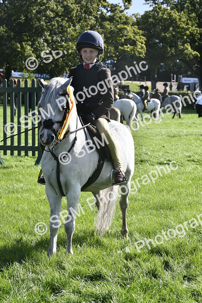 SBM_37250 - S31 - Novice & Newcomer Working Hunter Pony