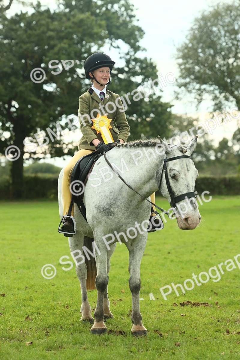 SBM_74131 - S 61 - Show Pony & Show Hunter Pony Ridden
