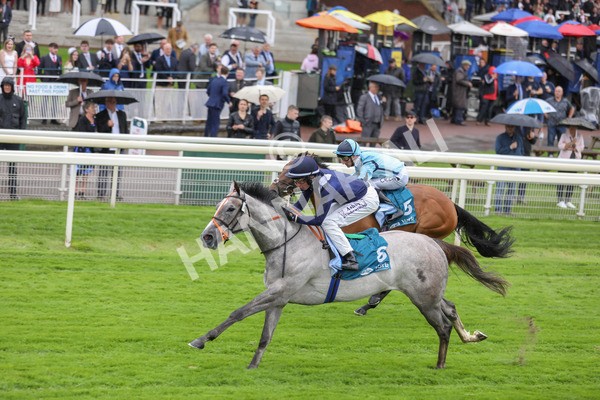 140723-Race 3-Symbology-8556 - Race 3 3.15pm William Hill Keep Your Raceday Positive Irish EBF Fillies' Novice Stakes