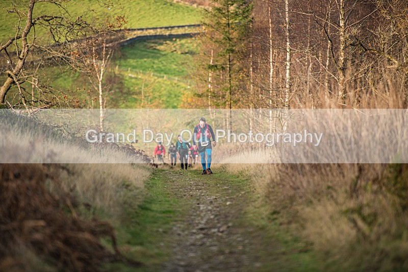 Tweed Valley-348 - High Terrain Events Tweed Valley 50 & 65K Ultra Trail Races Sunday 16th November 2025