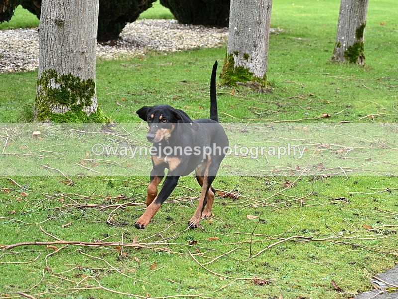WJ7_9199 - Berks & Bucks Lead Rein - Hendred House 22-12-14