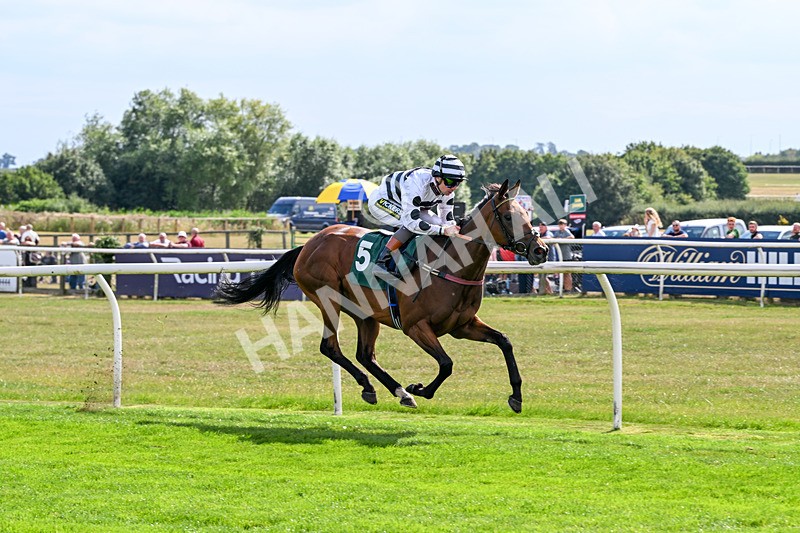 260826-Race 2-Lady Gormire-2377 - Race 2 14:45 Berber Leather Maiden Stakes