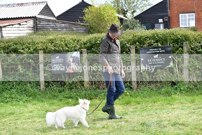 WJ5_0704 - Best in Show Championship