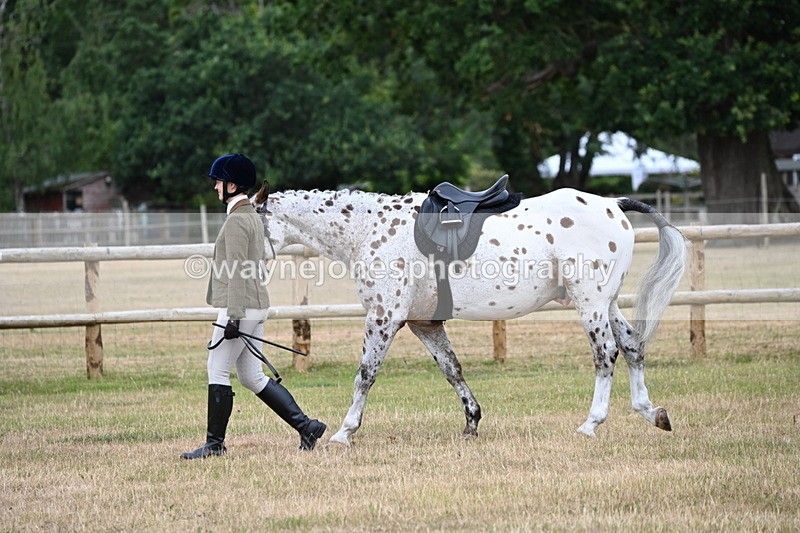 WJ6_3774 - Class 9 Tack & Turnout