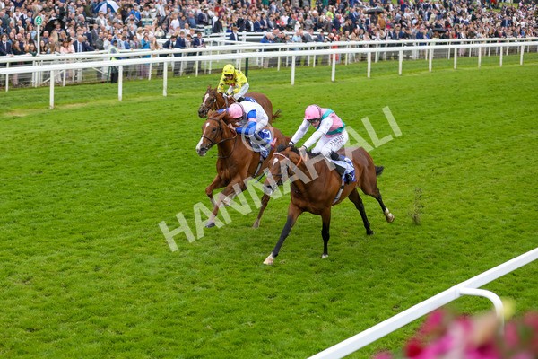 150624-Race 3-Klondike-6131 - Race 3 3.00pm Sky Bet Race To The Ebor Grand Cup Stakes