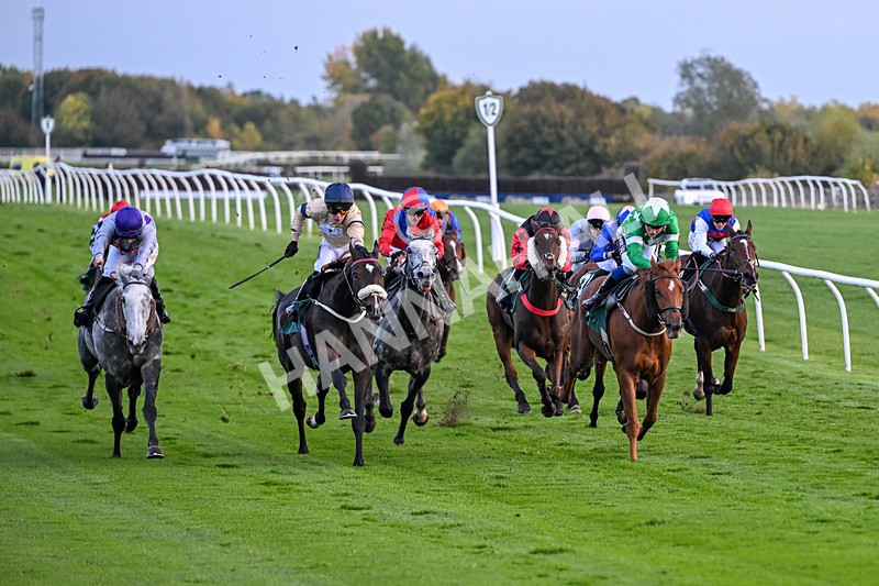 171026-Race 8-Gentle Warrior-6541 - Race 8 5.15pm Go Racing In Yorkshire Future Stars Apprentice Handicap