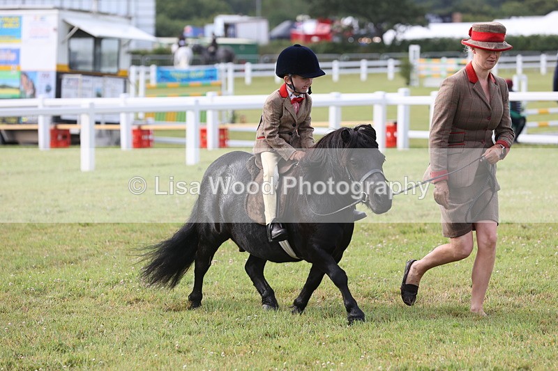 JPP_0405 - Class 14: Cornish Combination Leading Rein