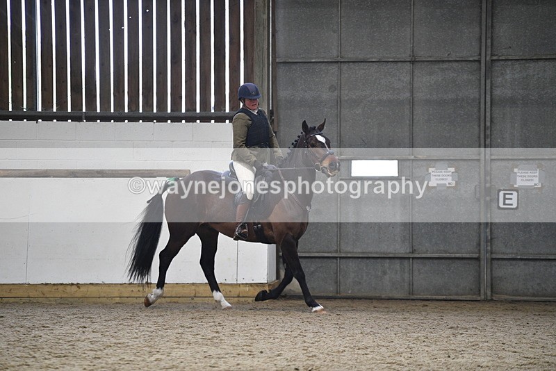 WJ5_7963 - Class 13 Ridden Part Breed