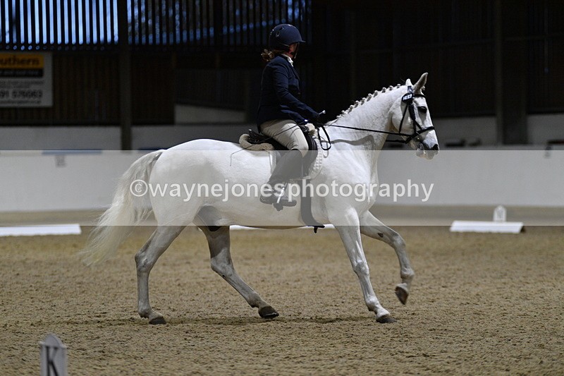WJ5_8675 - Class 5 Novice Test 3