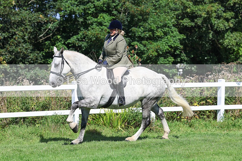 3E7A8392 - Class 4: Novice working Hunter
