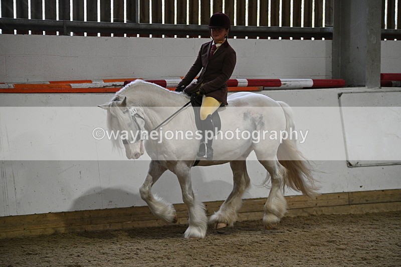 WJ7_4200 - Class 17 Ridden Cob