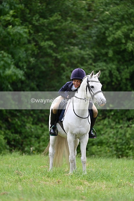 WJ7_3751 - Class 14A Handsome Gelding