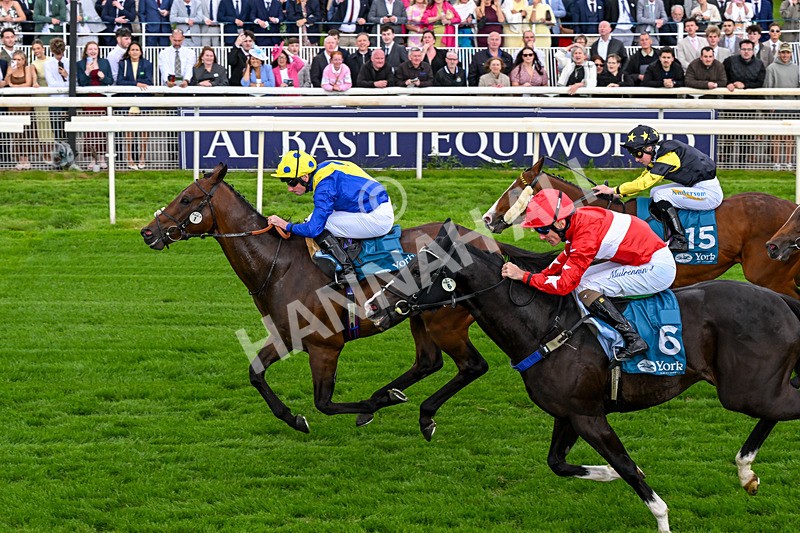 130626-Race 6-Point Of Contact-0654 - Race 6 16.50pm Ice Co Supporting Macmillan Handicap