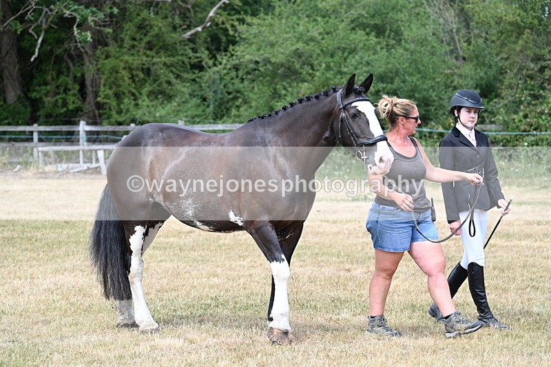 WJ7_1801 - Class 4a Prettiest Mare 14.2hh and over hand