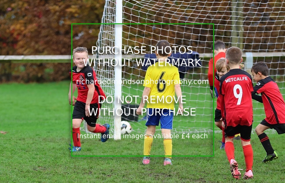 533A3242 - Kendal Utd U8's vs Sedbergh Wanderers Juniors U8 (8/11/25)