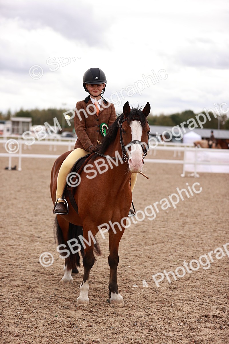 SBM_18516 - Class 420 - Ridden M&M