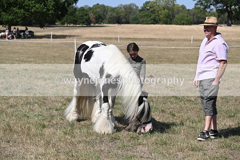WJ6_9495 - Class 40 Cheekiest Pony/Horse