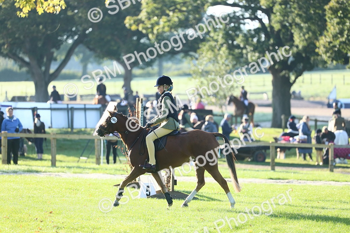 SBM_33376 - S28 - Nursery Stakes Working Hunter Pony