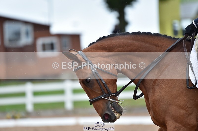 230630A-171854-03599 - Cls 4 Prelim 18