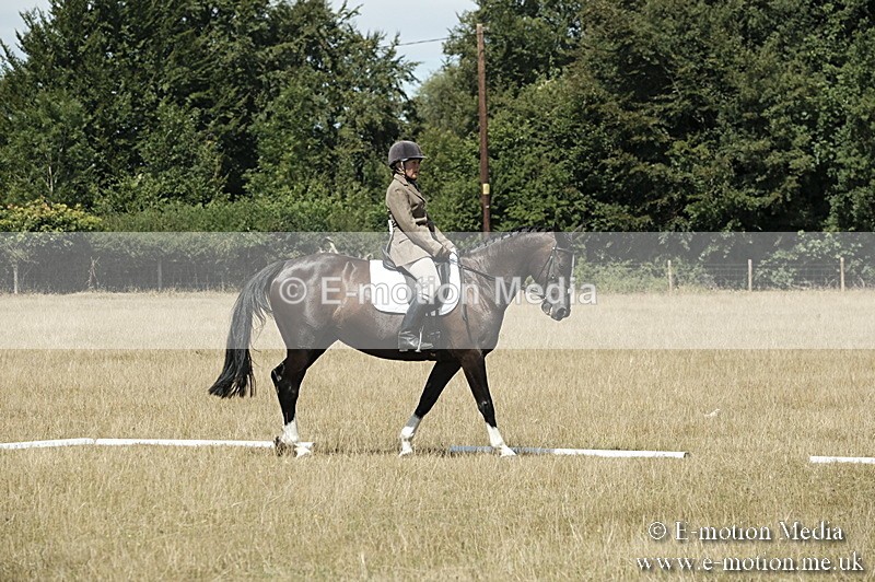 _PJP5860 - Dressage Classes BVRC Show 2018